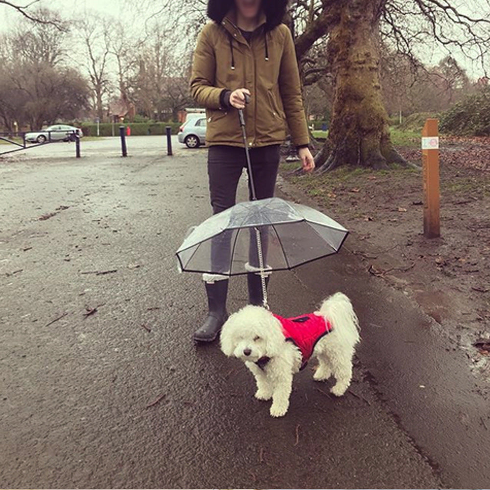 β Dog Umbrella with Leash β Transparent Pet Umbrella with Removable Traction Chain πΎ