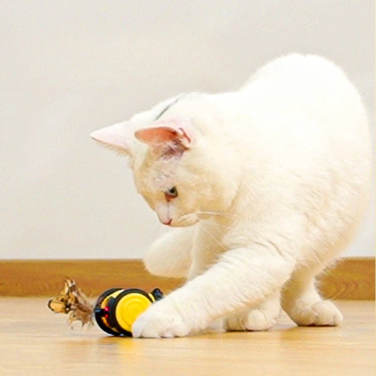 Electric Cat Car Toy – Interactive Running Bee Toy with Feather Teaser for Kittens
