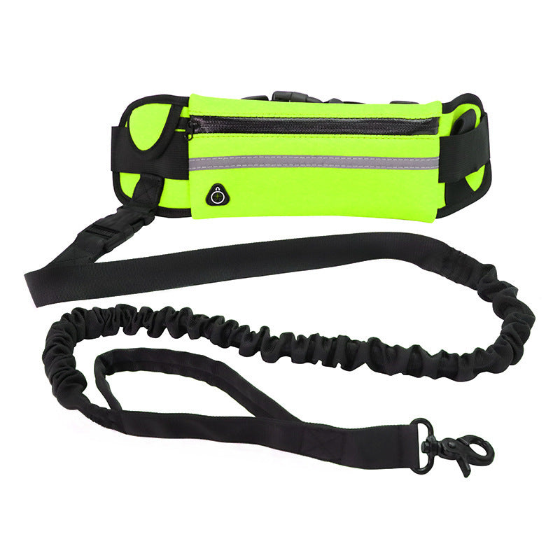 🏃 Hands-Free Dog Leash – Training Belt with Bungee Leash, Phone Pocket & Bottle Holder 🐶