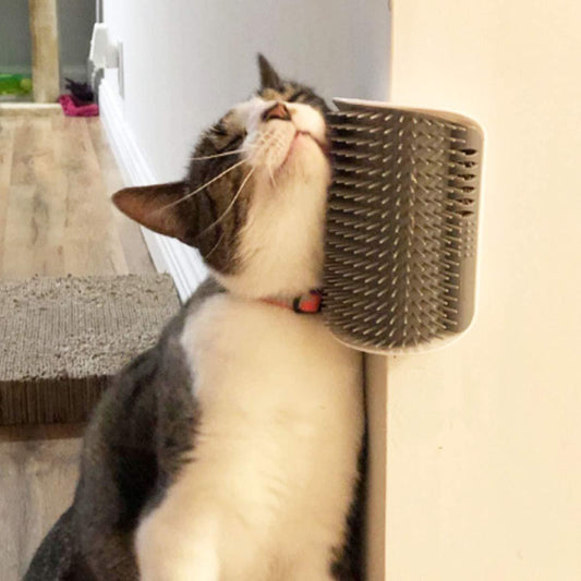 Cat Self Groomer Arch – Upgraded Wall Corner Brush & Self-Cleaning Slicker Comb for Cats & Dogs