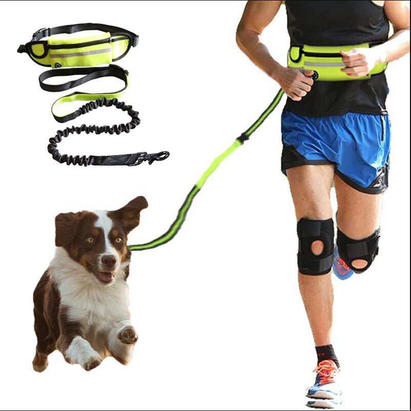 🏃 Hands-Free Dog Leash – Training Belt with Bungee Leash, Phone Pocket & Bottle Holder 🐶