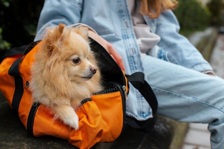Pet Bags