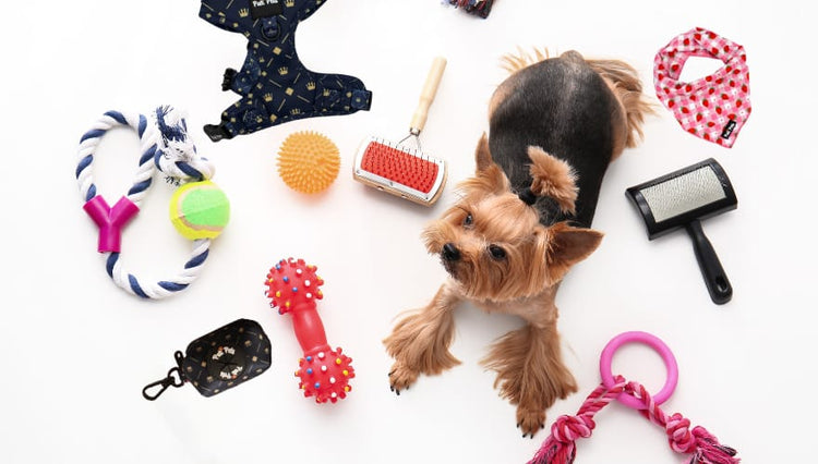 Pet Toys & Tools