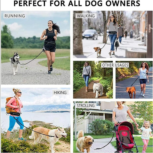 🏃 Hands-Free Dog Leash – Training Belt with Bungee Leash, Phone Pocket & Bottle Holder 🐶