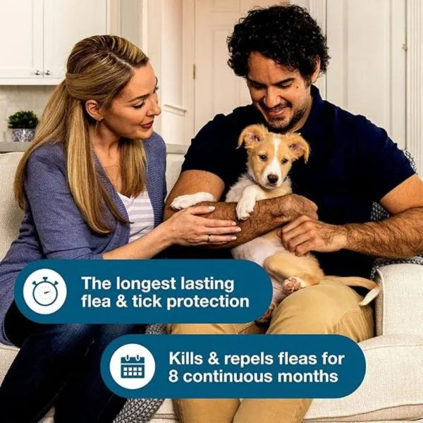 Seresto® Flea & Tick Collar For Small Dogs | Milipet