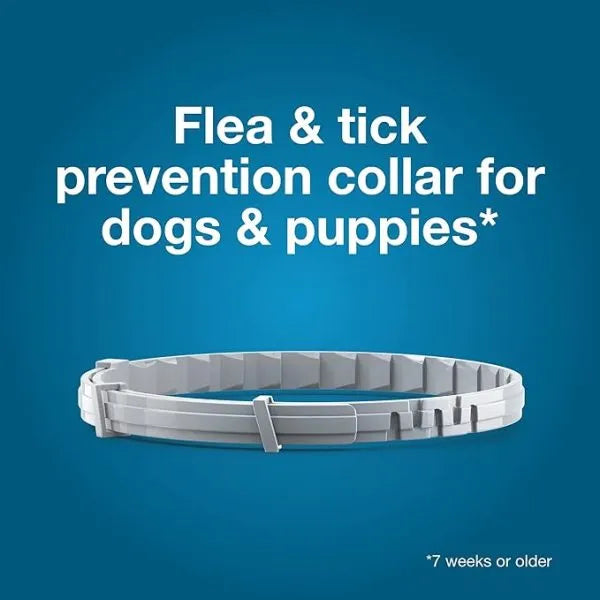 Seresto® Flea & Tick Collar for Large Dogs | Milipet