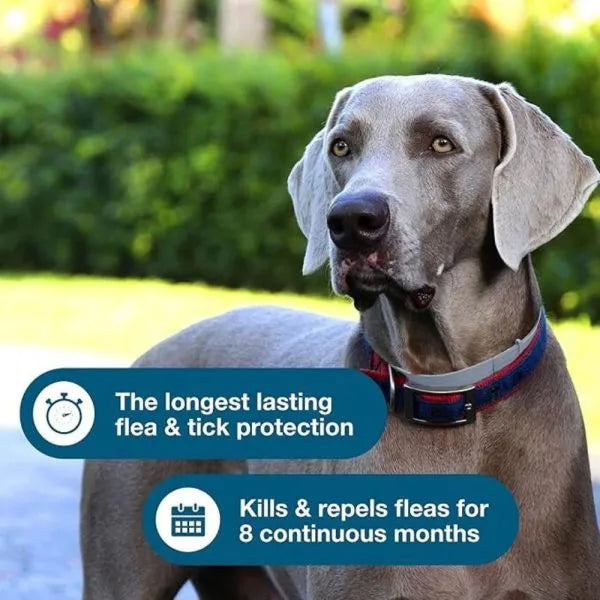 Seresto® Flea & Tick Collar for Large Dogs | Milipet