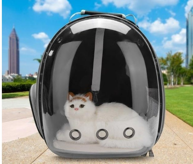 🐱 Transparent Cat Carrier Bag – Full-View Pet Space Backpack for Cats & Small Dogs