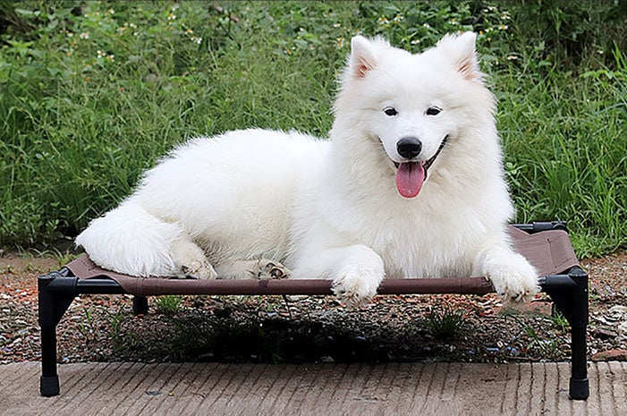 Milipet Elevated Outdoor Pet Bed - Breathable Oxford Cloth Cot