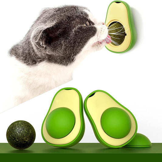 🍬 Catnip Ball – Edible Cat Treat & Interactive Toy for Cats 🐱
