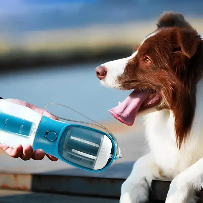 💧 Dog Water Cup – 3-in-1 Portable Multi-Functional Pet Cup & Food Bag 🐶🐱