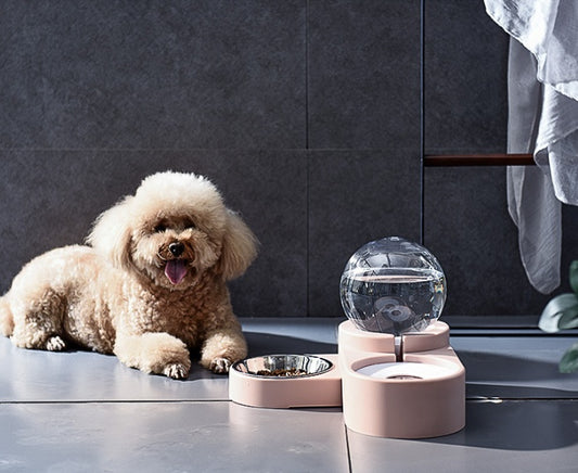 💧 Automatic Pet Water Bowl – Fresh & Clean Water Dispenser for Dogs & Cats 🐶🐱