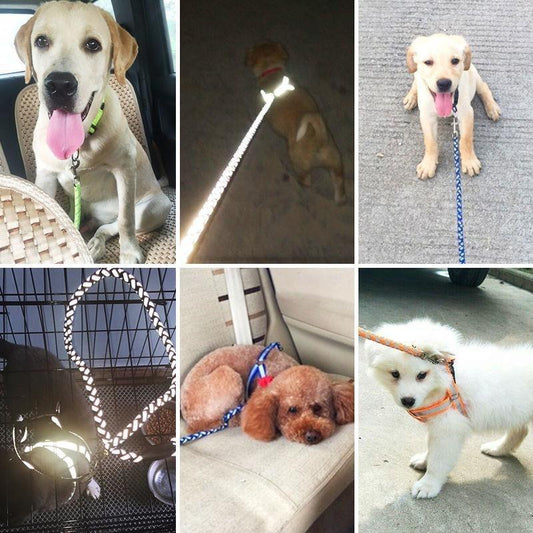 🐶 Pet Dog Leash – Durable, Comfortable & Safe Walking Rope for Pets 🐾