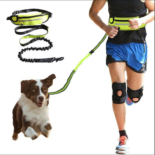 🏃 Hands-Free Dog Leash – Training Belt with Bungee Leash, Phone Pocket & Bottle Holder 🐶