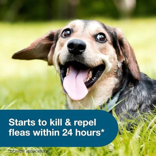 Seresto® Flea & Tick Collar For Small Dogs | Milipet