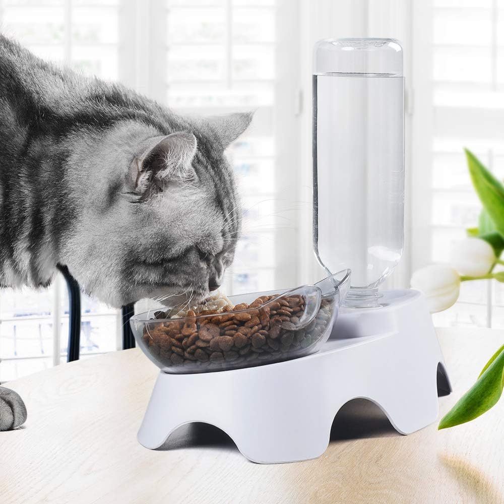 🍽️ Double Pet Bowls – Tilted Water & Food Bowl Set with Automatic Waterer for Dogs & Cats 🐶🐱