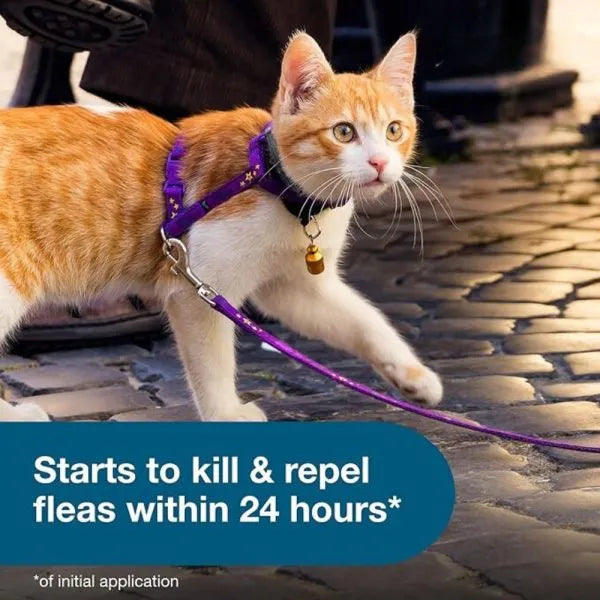 Seresto® Flea and Tick Collar for Cats | Milipet