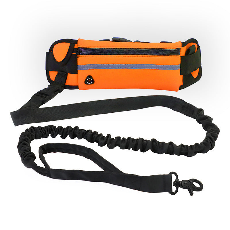 🏃 Hands-Free Dog Leash – Training Belt with Bungee Leash, Phone Pocket & Bottle Holder 🐶