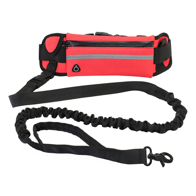 🏃 Hands-Free Dog Leash – Training Belt with Bungee Leash, Phone Pocket & Bottle Holder 🐶